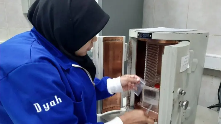 Peneliti: Dukungan Pemerintah Dapat Besarkan Kontribusi Nuklir