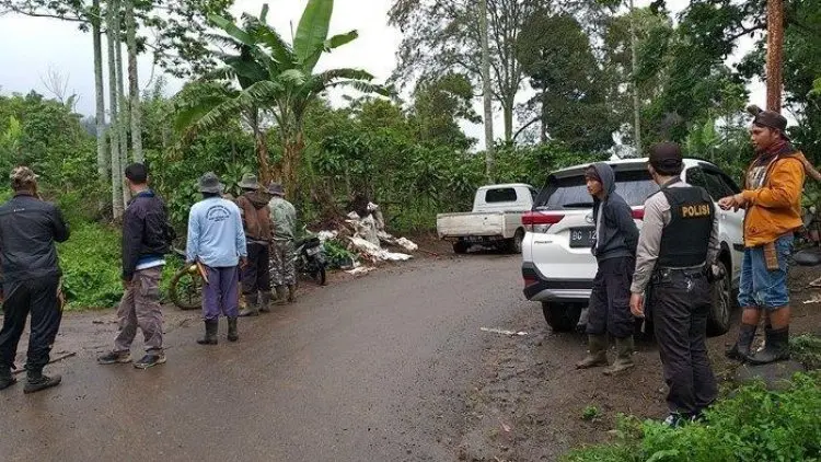 Minta Dievakuasi, Petani Pagaralam Melihat Tujuh Harimau
