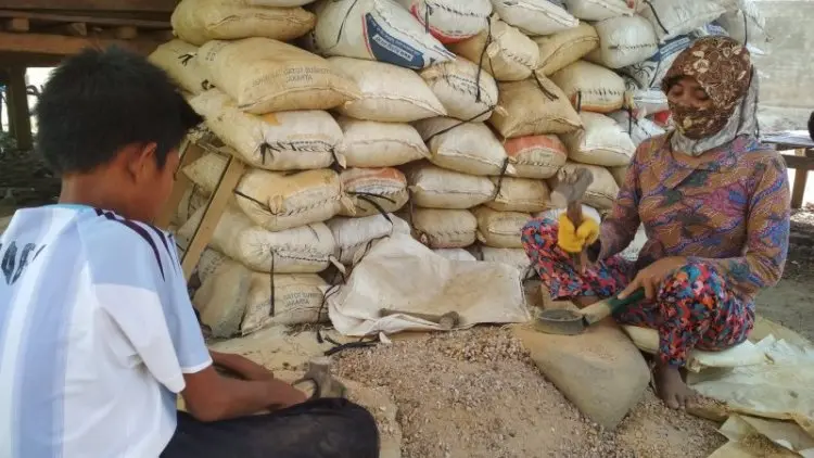 Bergelimang Harta Berbungkus 'PETI' di Sumbawa Barat