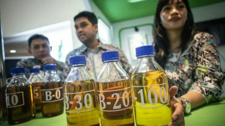 Luhut: Jika Tidak Replanting, Kita Berhenti di B50
