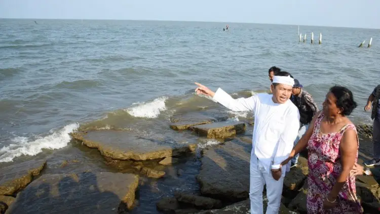 Tolak Ekspor Lobster, Dedi Mulyadi: Jangan Tergiur Keuntungan Sesaat!