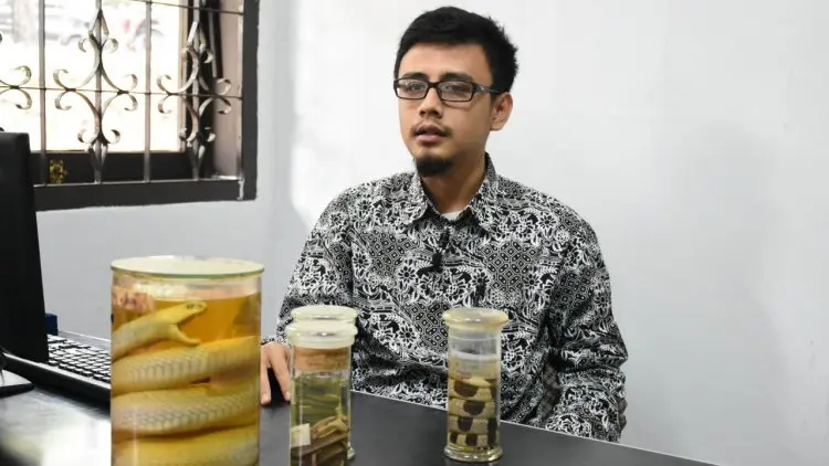 inilah Ciri Ular Berbisa Menurut Pakar Reptil ITB