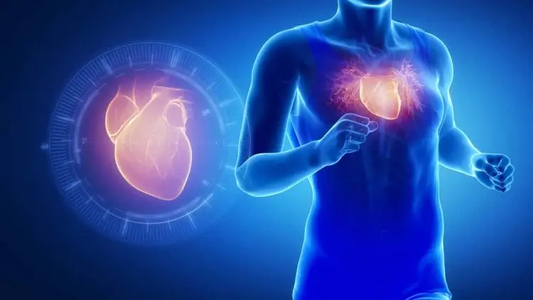 Awas, Sakit Kardiovaskular jadi Ancaman