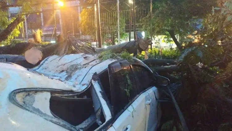 Pohon Tumbang Timpa Tiga Mobil di Bandung