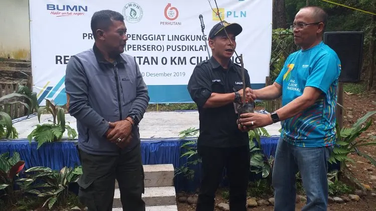 Tahan Laju Banjir Bandang, PLN Tanam 3.000 Pohon di Puncak