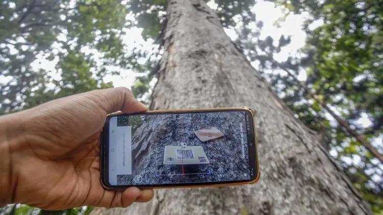 Begini Langkah Pemkot Bandung Antisipasi Pohon Tumbang