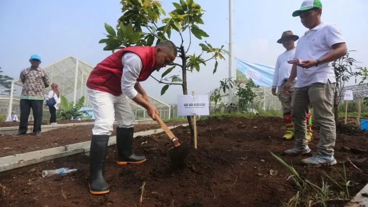 Pembibitan Dispangtan Bakal Jadi Sarana Edukasi
