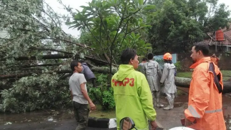 Hujan Deras di Bandung Sebabkan Banjir dan Pohon Tumbang