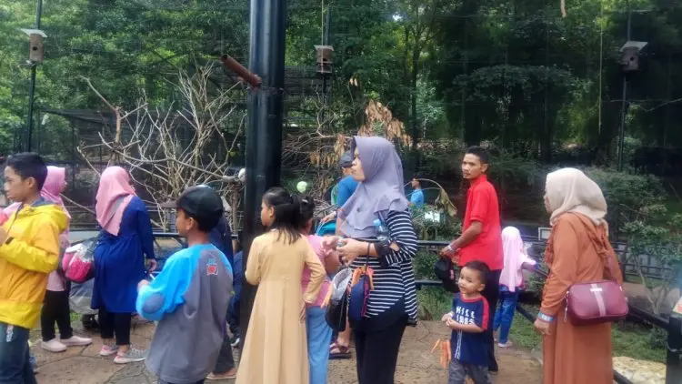 Natal dan tahun baru Bazoga targetkan 28.000 pengunjung