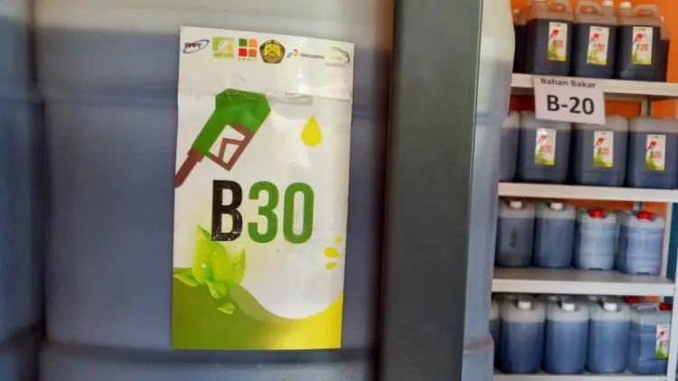 Pemerintah Pastikan Harga B30 Tidak Naik