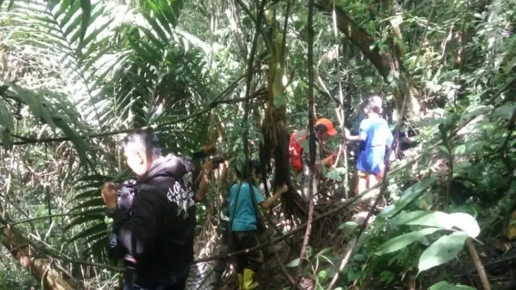 Bunga Rafflesia Terbesar di Dunia Mulai Dikunjungi Wisatawan