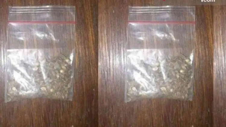 Duh, Kasus Peredaran Narkoba di Sukabumi Melonjak