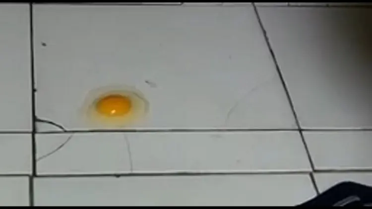 Fenomena Unik, Masak Telur di Keramik SDN Tropodo