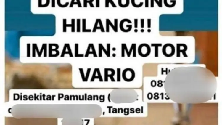 Ini Baru Keren, Sayembara Cari Kucing Hilang Berhadiah Motor