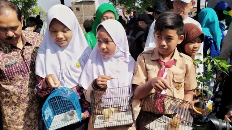 Sejumlah Anak Ayam dari Wali Kota Bandung Mati Dimakan Tikus