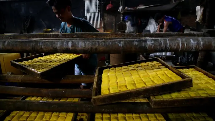 Foto: Target Produksi Kedelai