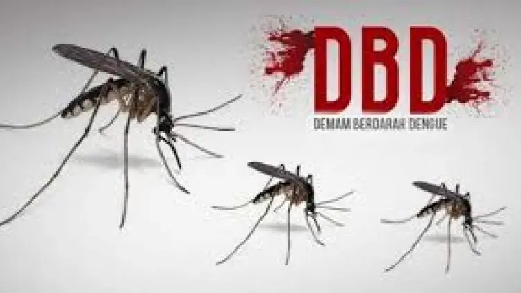 Musim Hujan Tiba, Pemkab Purwakarta Waspadai Penyebaran DBD