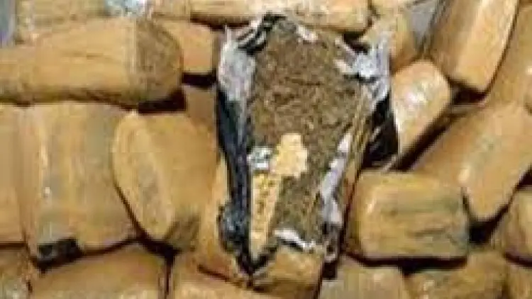 Bawa 168 Kg Ganja, Pemuda Asal Bogor Dituntut Hukuman Mati 