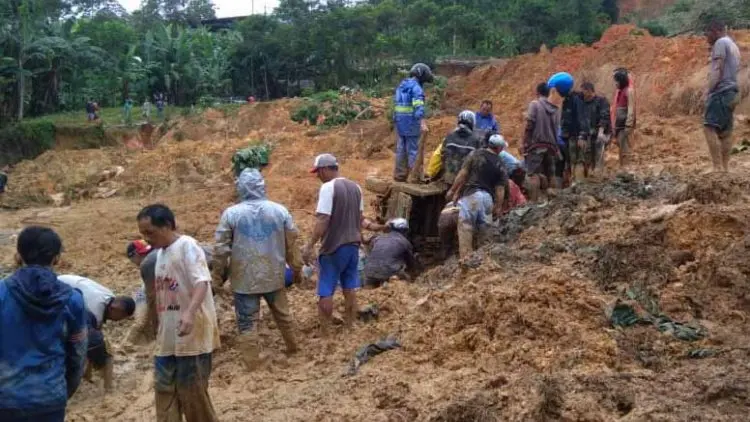 Ini Info Terbaru Jumlah Korban Bencana Alam di Kabupaten Bogor