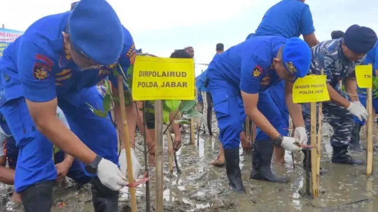 Ditpolairud Polda Jabar Tanam Mangrove di Pesisir Cirebon
