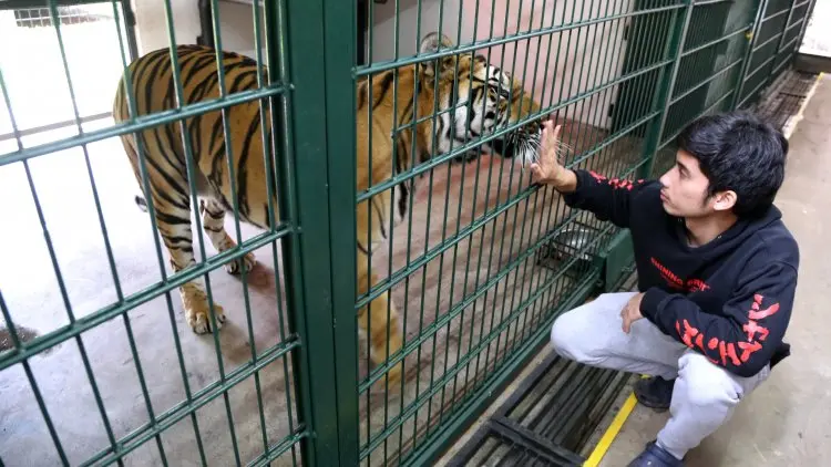 Foto: Penangkaran Taman Satwa Eksotik