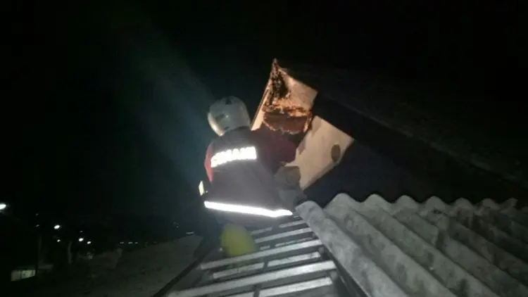 Disdamkar Garut Kewalahan Layani Permintaan Evakuasi Sarang Tawon