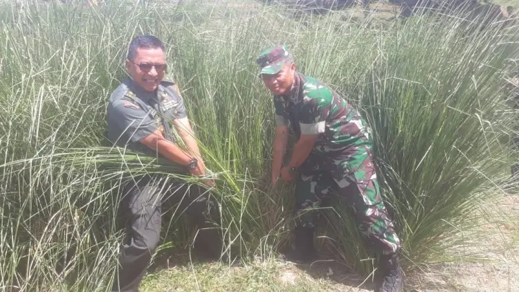 Antisipasi Longsor, 19 Ribu Pohon Vetiver Ditanam di Bantaran Citarum
