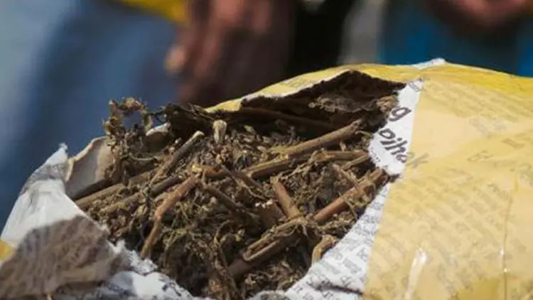 Jadi Korban Sindikat Narkotika, Indaw Minta Dihukum Ringan