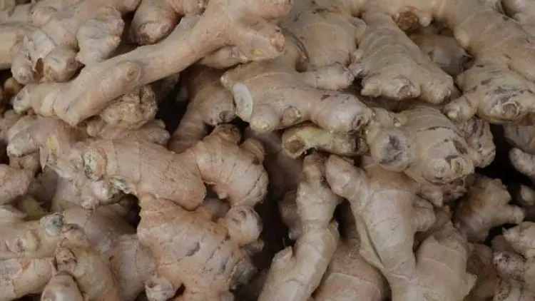 Manfaat Tanaman Jahe, Campuran Minuman Penghuni Surga