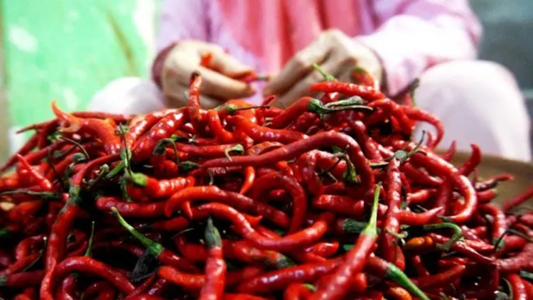 Telisik Pasar, Satgas Temukan Ini soal Harga Cabai