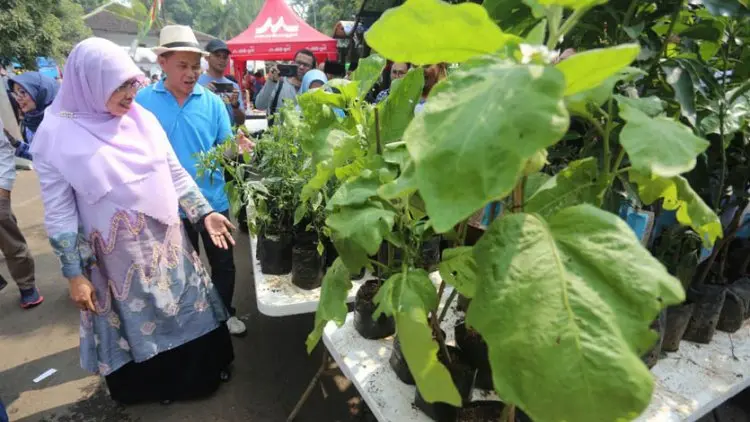Solusi Kebutuhan Pangan Bergizi, Kota Bandung Luncurkan Opal