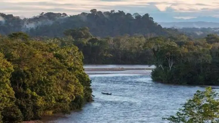 Suku Asli Hutan Amazon Menentang Presiden Brasil