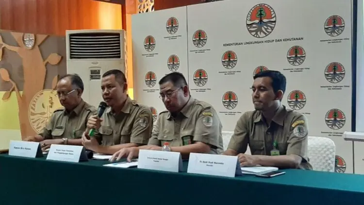 Bidara Laut Bisa Jadi Opsi dalam Upaya Mencegah Tanah Longsor