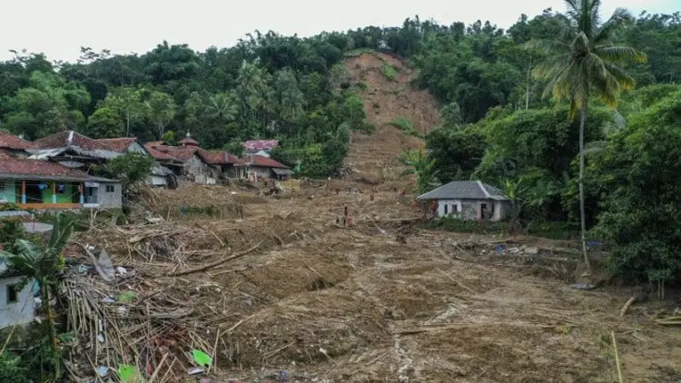 KLHK Ajukan Bioteknologi untuk Mitigasi Tanah Longsor