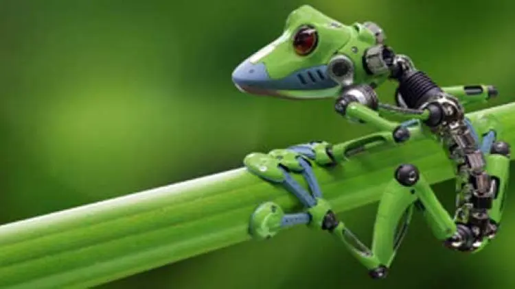Ilmuwan Ciptakan Xenobot, Robot Organisme Hidup