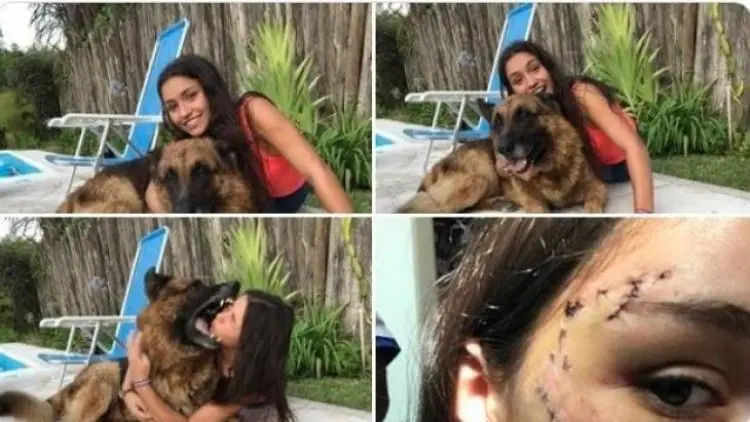 Wow, Selebtweet Cantik Digigit Anjing Demi Konten