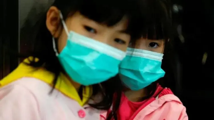 Ular atau Kelelawar Penyebab Virus Corona di China