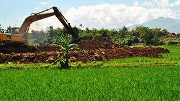 Kementan Berharap Daerah Tolak Alih Fungsi Lahan