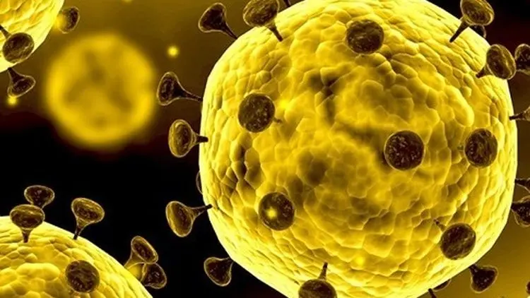 Waspada Virus Corona, Ini Pesan Dinkes Kota Bandung