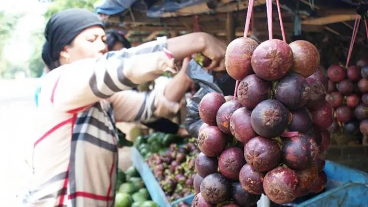 Purwakarta Gaungkan Kemasyhuran Buah Manggis Melalui Festival