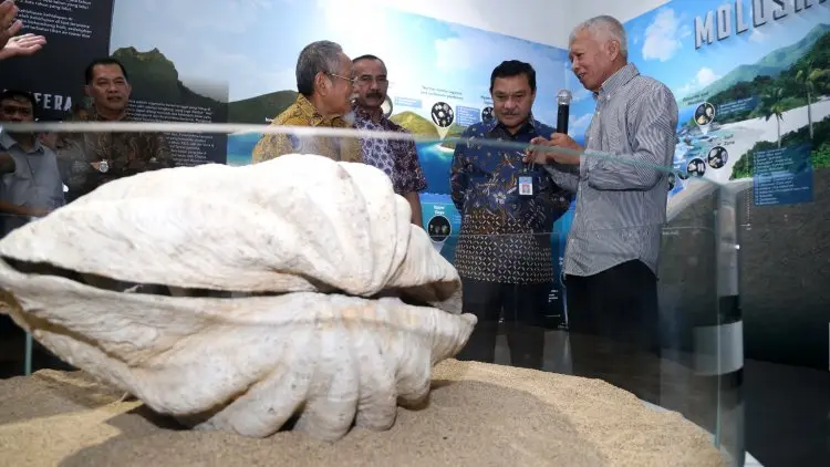 Foto: Ruang Pamer Sejarah Kehidupan Museum Geologi