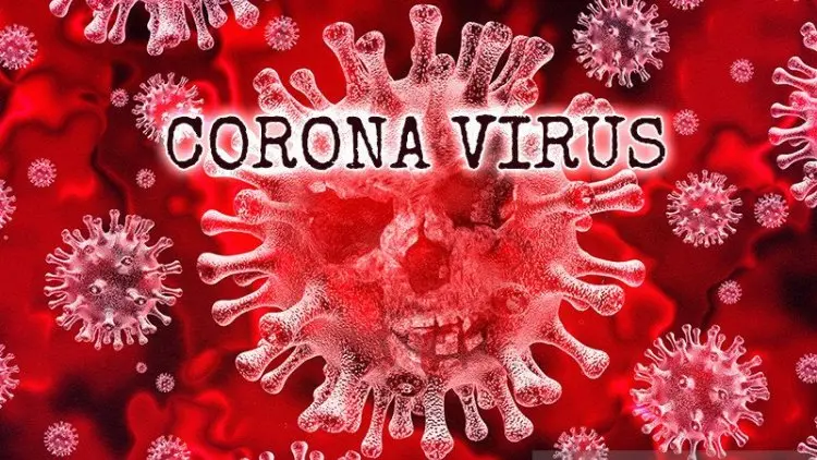 CIPS: Corona Harus Diantisipasi Agar Tak Perlambat Ekonomi