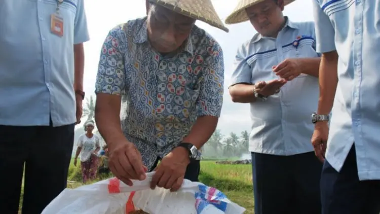 Bulog Dukung Program Korporasi Petani Berbasis Koperasi