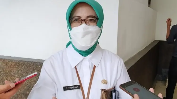 Cabai Merah Masih Mahal, Ini Kata Elly Wasliah