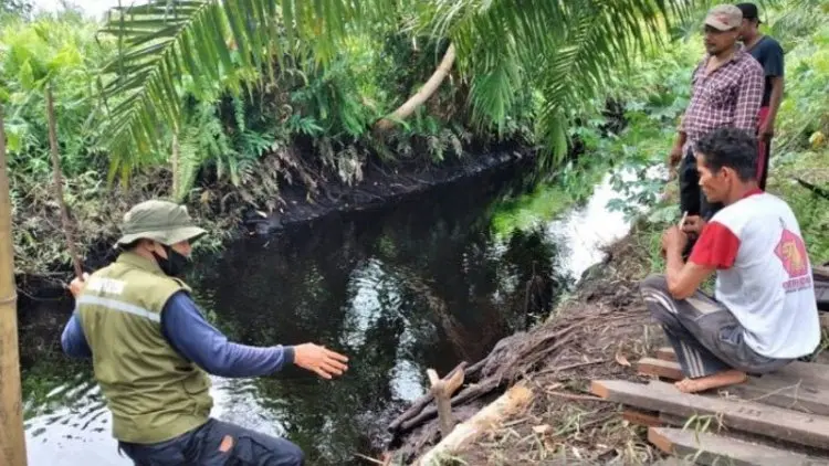 Ya Allah, Nenek di Sampit Diterkam Buaya Hingga...