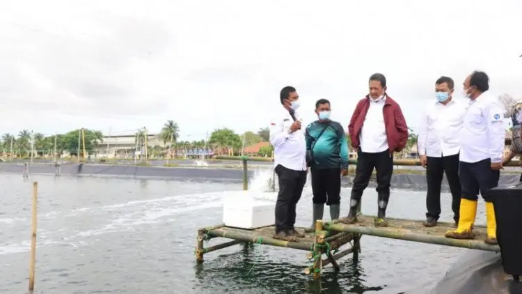 Menteri Kelautan Resmikan Pembangunan 13 Klaster Tambak Udang Karawang
