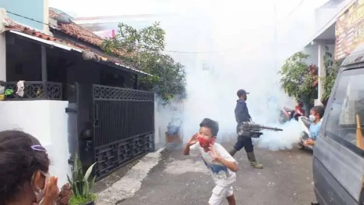 27 Warga Margamulya Terserang Cikungunya