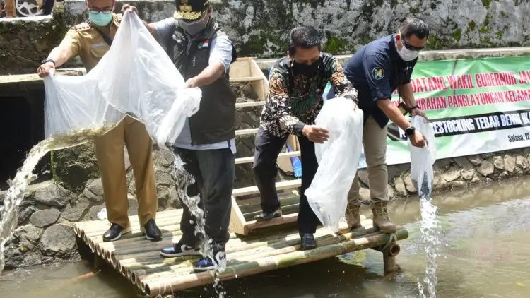 Uu Ruzhanul Tebar 77 Ribu Benih Ikan di Tasikmalaya