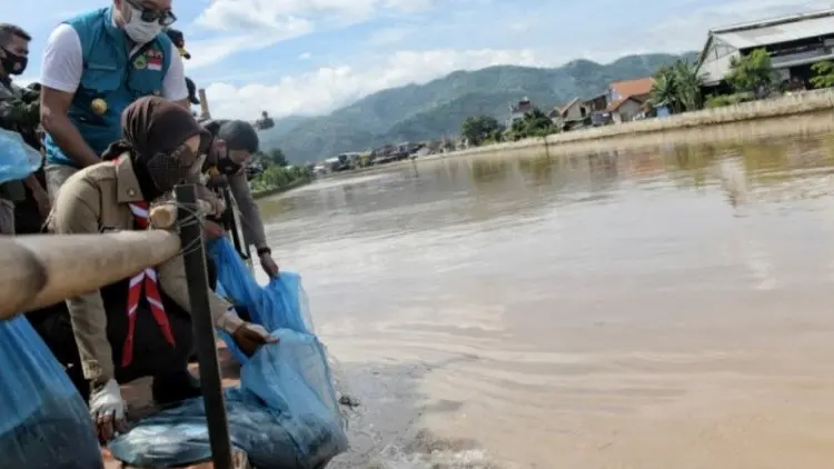 Ridwan Kamil Sebar Benih Ikan di Sektor 6 DAS Citarum