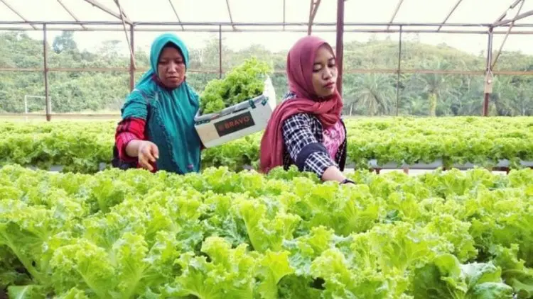 Kaltim: 7 Tahun UU Desa Mampu Mendorong Perkembangan Desa